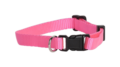 Collar Nylon Adj 10mmx23-35cm Pink