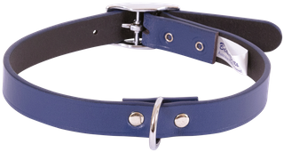Centre D Dog Collar
