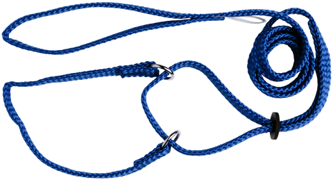 Lead Martingale S/Nylon 120cm Blue