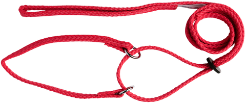Lead Martingale S/Nylon 120cm Red