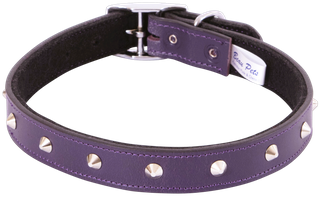 Felt Lined Stud Dog Collar