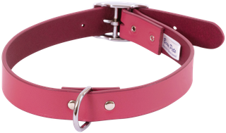 Centre D Dog Collar