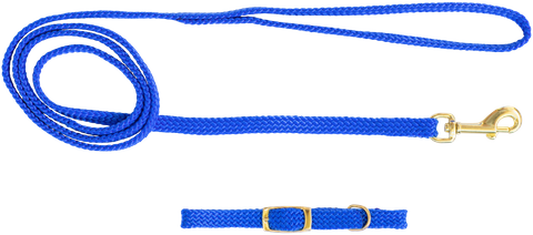 Plain Nylon Puppy Collar and Lead Set