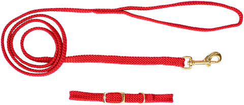 Collar & Lead Set Nylon Puppy Red