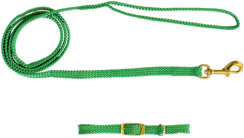 Collar & Lead Set Nylon Puppy Green