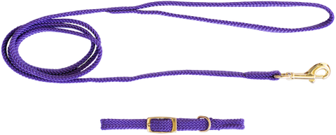 Collar & Lead Set Nylon Puppy Purple