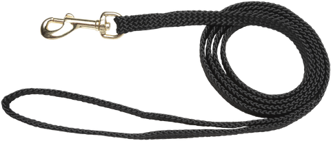 Lead Nylon Puppy 10mm Black