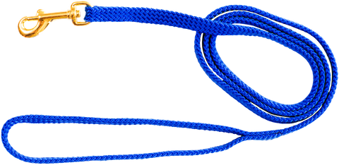 Lead Nylon Puppy 10mm Blue