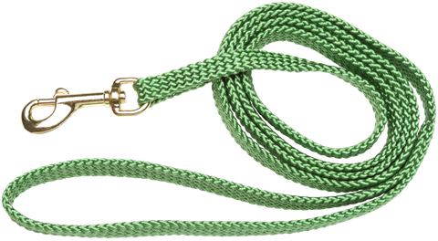 Lead Nylon Puppy 10mm Green