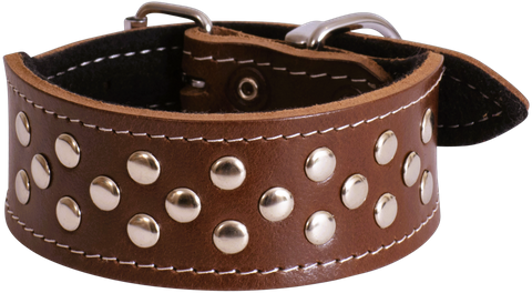 Collar Leather Whippet Stud 40cm Cognac