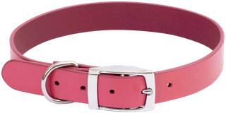 Classic Dog Collar