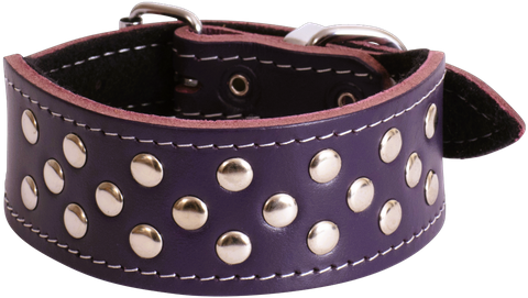 Collar Leather Whippet Stud 40cm Purple