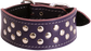 Whippet Stud Dog Collar