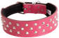 Staffy Stud Dog Collar