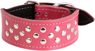 Whippet Stud Dog Collar