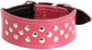 Whippet Stud Dog Collar