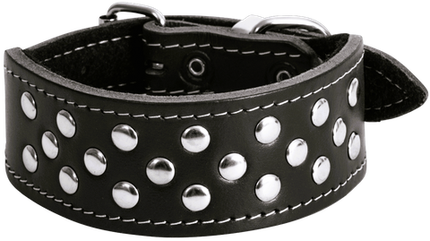 Collar Leather Whippet Stud 40cm Black