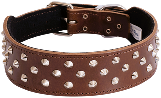 Staffy Stud Dog Collar