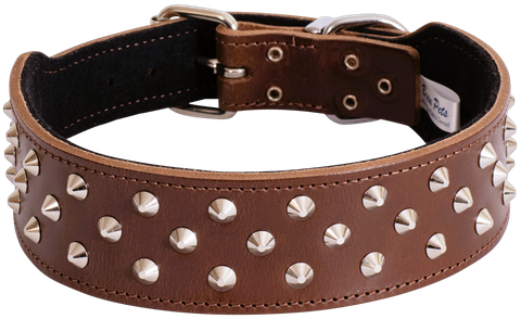 Collar Leather Staffy Stud 65cm Cognac
