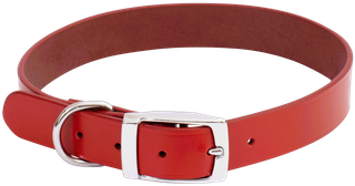 Classic Dog Collar