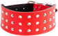 Bull Terrier Dog Collar