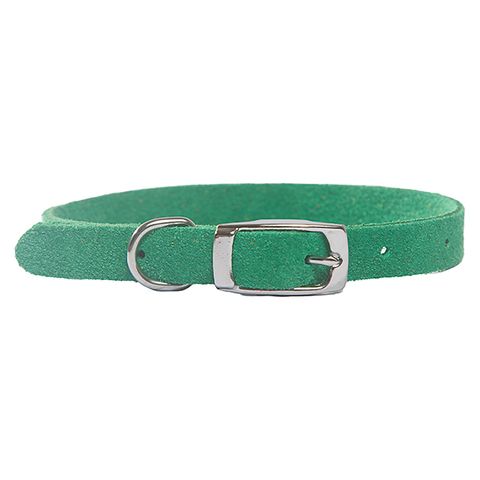 Collar Suede Puppy w/"D" Green