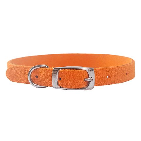 Collar Suede Puppy w/"D" Orange