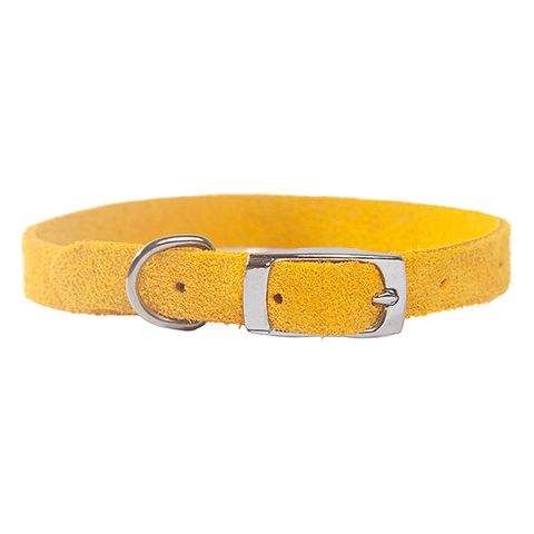 Collar Suede Puppy w/"D" Gold