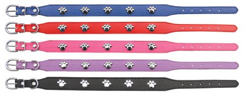 Dog Collar Chrome Paw