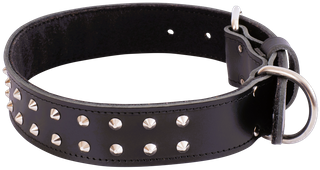 Bull Mastiff Dog Collar