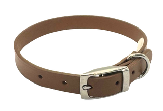 Classic Dog Collar