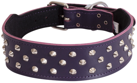 Collar Leather Staffy Stud 65cm Purple