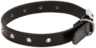 Deluxe Sewn Stud Dog Collar