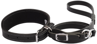 Greyhound Collar and Lead Set