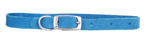 Collar Suede Puppy w/"D" Blue