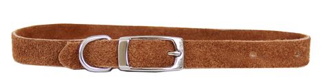 Collar Suede Puppy w/"D" Brown