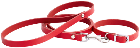 Leather Collar & Lead Set Puppy Red