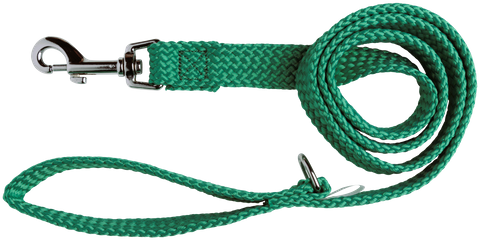 Lead D/Nylon 20mm x 120cm Green
