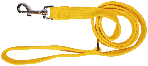 Lead D/Nylon 20mm x 120cm Gold