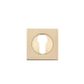Iver Square Euro Escutcheon