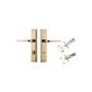 Annecy Stepped Door Lever