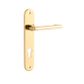 Baltimore Oval Return Door Lever