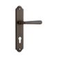 Copenhagen Shouldered Door Lever