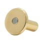 Windsor Brass Dust Socket