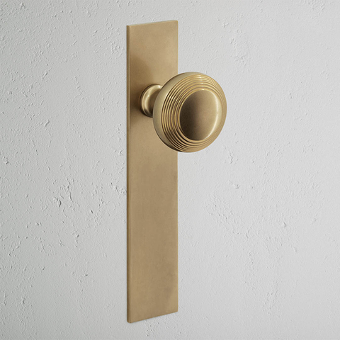 Poplar Long Plate Door Knob Dummy AB