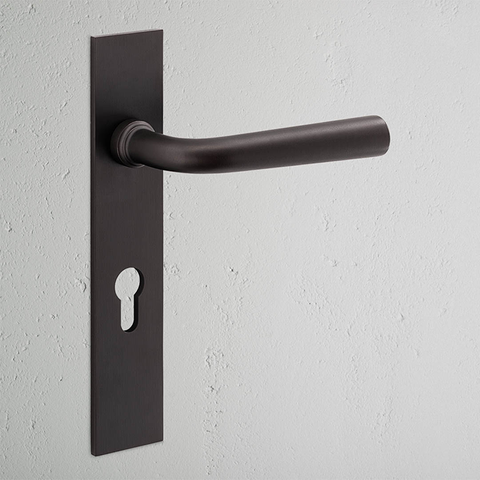 Apsley Long Plate Sprung Lever & Euro B