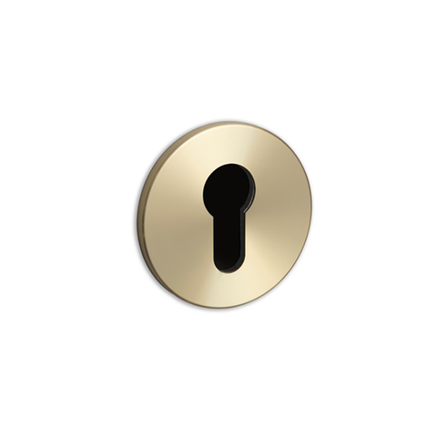 Buster+Punch Euro Escutcheon