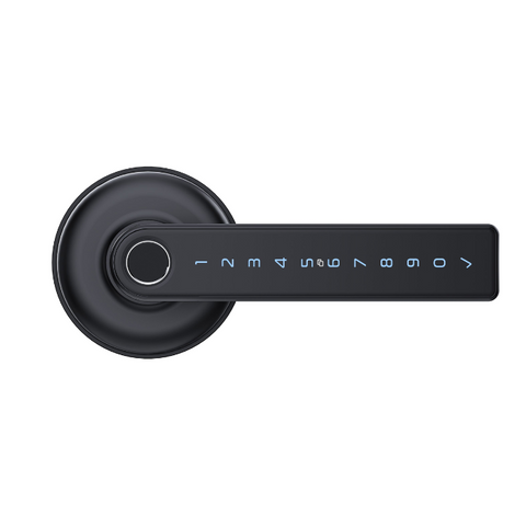 Schlage Ascent Smart Lever