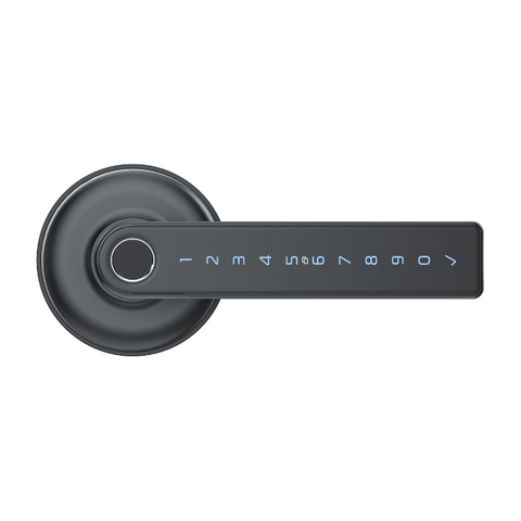 Schlage Ascent Smart Lever