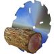 DRY FIREWOOD PROCESSING